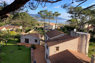 achat maison furiani 20600