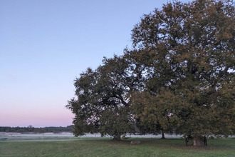 achat maison gaillan-en-medoc 33340