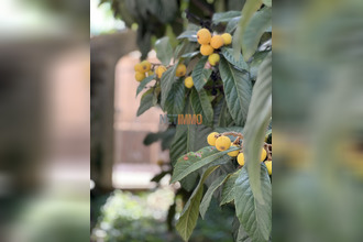 achat maison gallargues-le-mtueux 30660