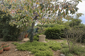 achat maison gardanne 13120