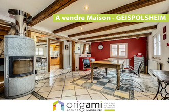 achat maison geispolsheim 67118