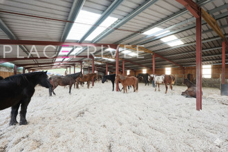 achat maison gemaingoutte 88520