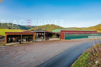 achat maison gemaingoutte 88520