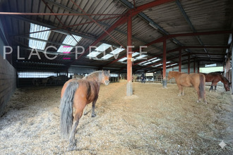 achat maison gemaingoutte 88520