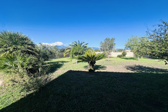 achat maison ghisonaccia 20240