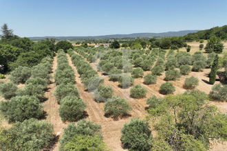 achat maison gordes 84220