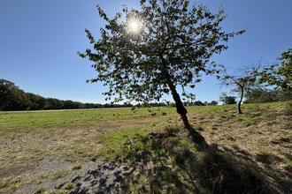 achat maison goven 35580