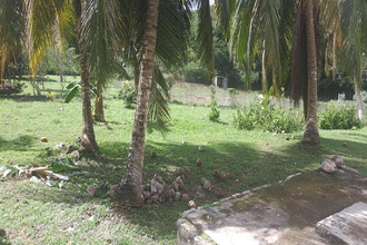 achat maison grand-bg 97112