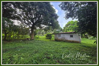 achat maison gros-morne 97213