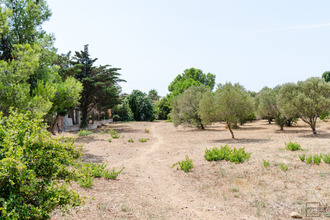 achat maison gruissan 11430