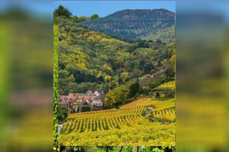 achat maison guebwiller 68500