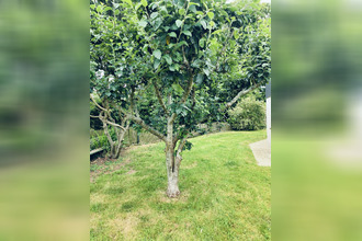 achat maison guipavas 29490