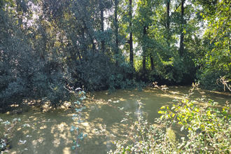 achat maison hagetmau 40700