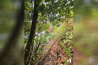 achat maison hamel 59151