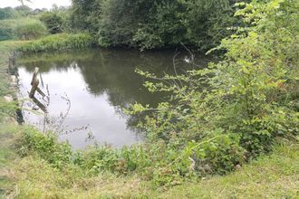 achat maison hauterive 61250