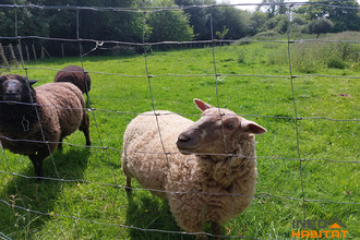 achat maison hede-bazouges 35630