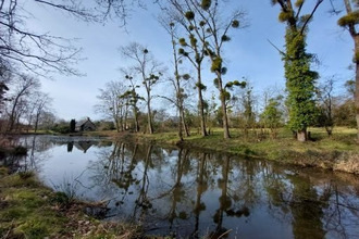 achat maison hudimesnil 50510