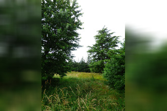achat maison jargeau 45150