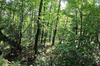 achat maison joue-les-tours 37300