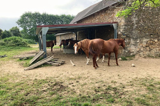 achat maison jumilhac-le-grand 24630