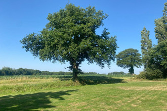 achat maison juvigne 53380