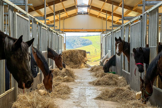 achat maison juville 57590