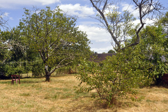 achat maison l-abergement-de-cuisery 71290