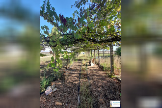 achat maison l-ile-d-elle 85770