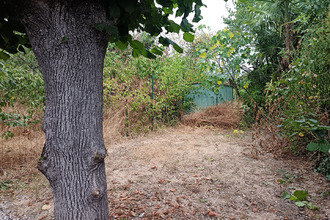 achat maison l-isle-en-dodon 31230
