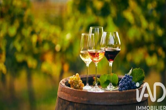 achat maison l-isle-sur-la-sorgue 84800