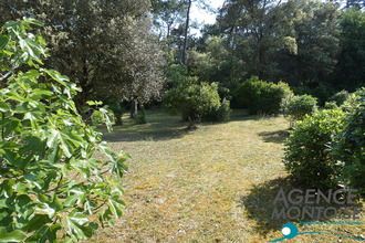 achat maison la-barre-de-mts 85550