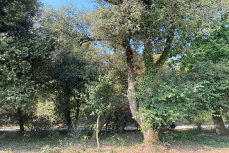 achat maison la-barre-de-mts 85550