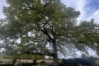 achat maison la-bazoche-gouet 28330