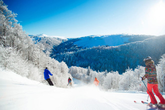 achat maison la-bresse 88250