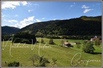 achat maison la-bresse 88250