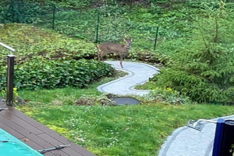 achat maison la-chapelle-st-mesmin 45380