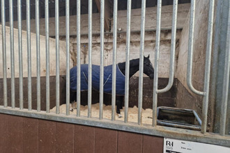 achat maison la-chapelle-sur-erdre 44240