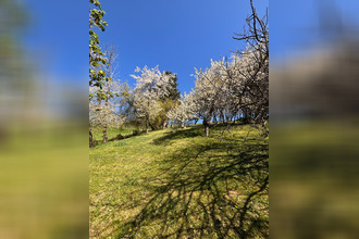 achat maison la-cote-st-andre 38260