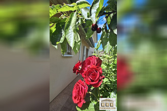 achat maison la-cote-st-andre 38260