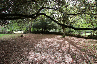 achat maison la-creche 79260