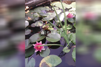 achat maison la-foret-du-temple 23360