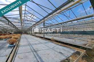 achat maison la-gorgue 59253