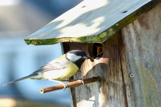 achat maison la-membrolle-sur-choisille 37390