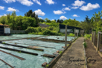 achat maison la-selle-craonnaise 53800