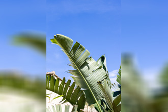 achat maison la-seyne-sur-mer 83500