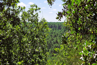 achat maison la-teste-de-buch 33115