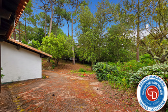 achat maison la-teste-de-buch 33115