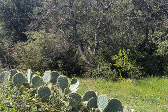 achat maison la-verdiere 83560