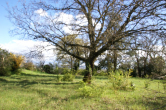 achat maison la-voulte-sur-rhone 07800