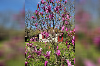 achat maison labastide-d-armagnac 40240